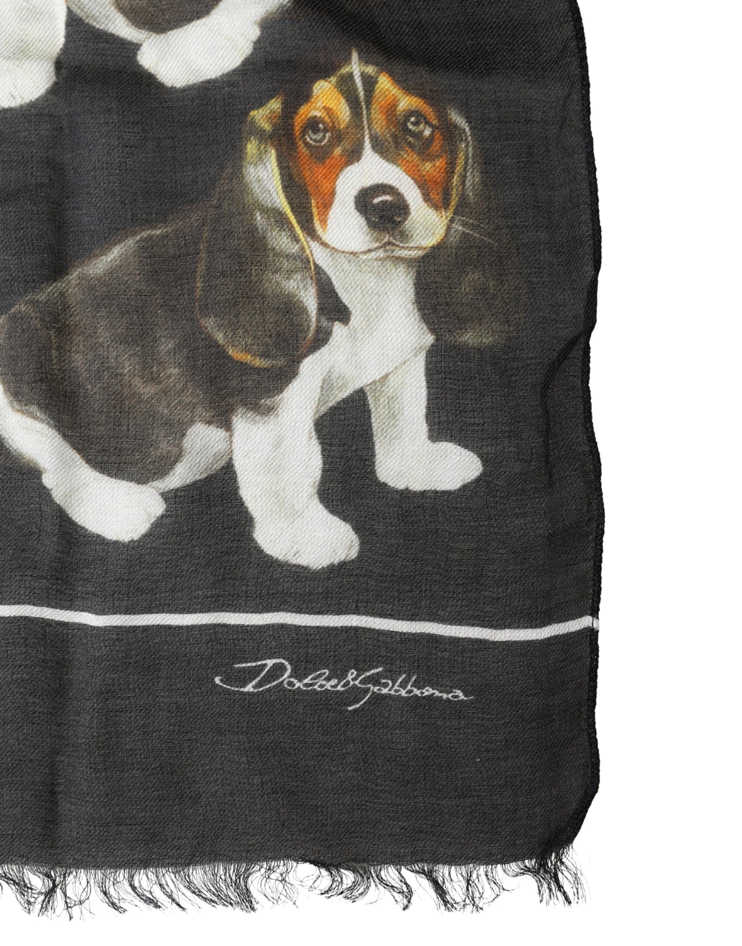 Fular de Lana Modal con Estampado de Perros Negro Dolce & Gabbana Foulard de 178cm x 63cm