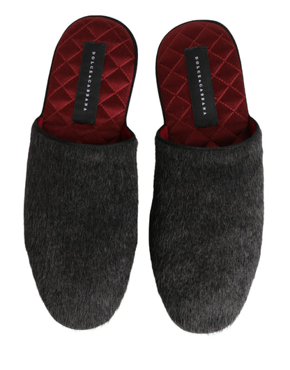 Zapatos-Zapatillas Dolce & Gabbana de Lana de Carbón Gris Oscuro y Rojas