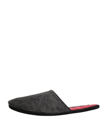 Zapatos-Zapatillas Dolce & Gabbana de Lana de Carbón Gris Oscuro y Rojas