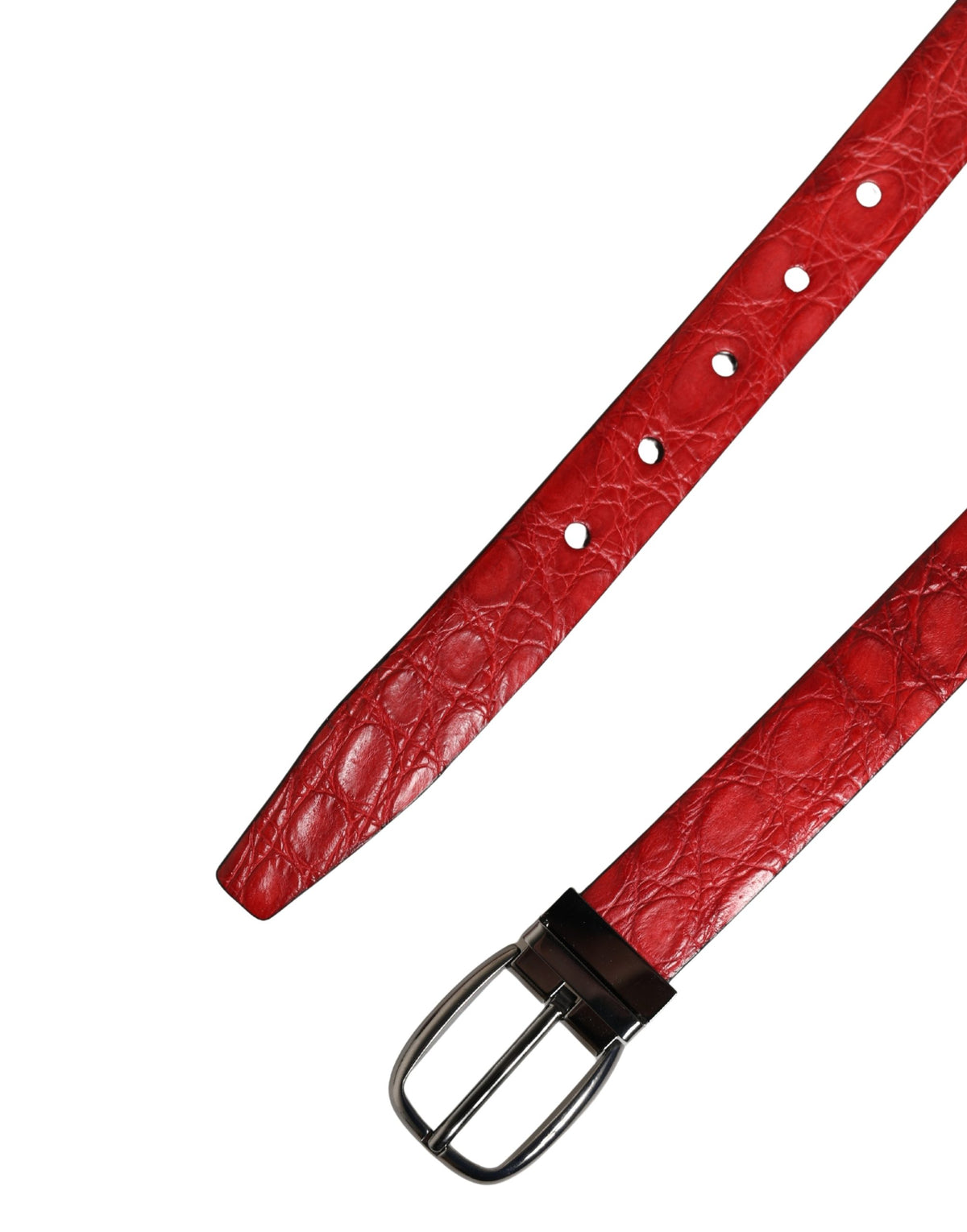 Ceinture Dolce & Gabbana pour homme en cuir exotique rouge à boucle métallique