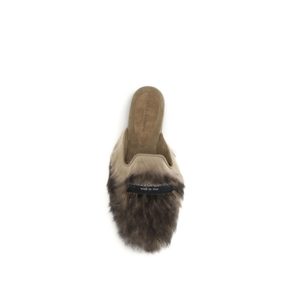 Mules Dolce & Gabbana grises en agneau Ovis Aries Aries