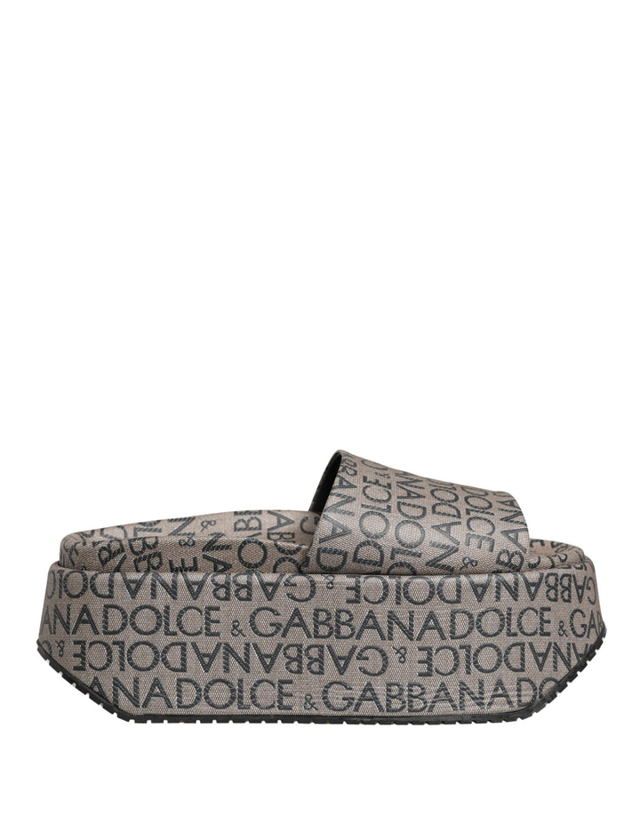 Sandales Dolce & Gabbana en cuir gris à logo monogramme