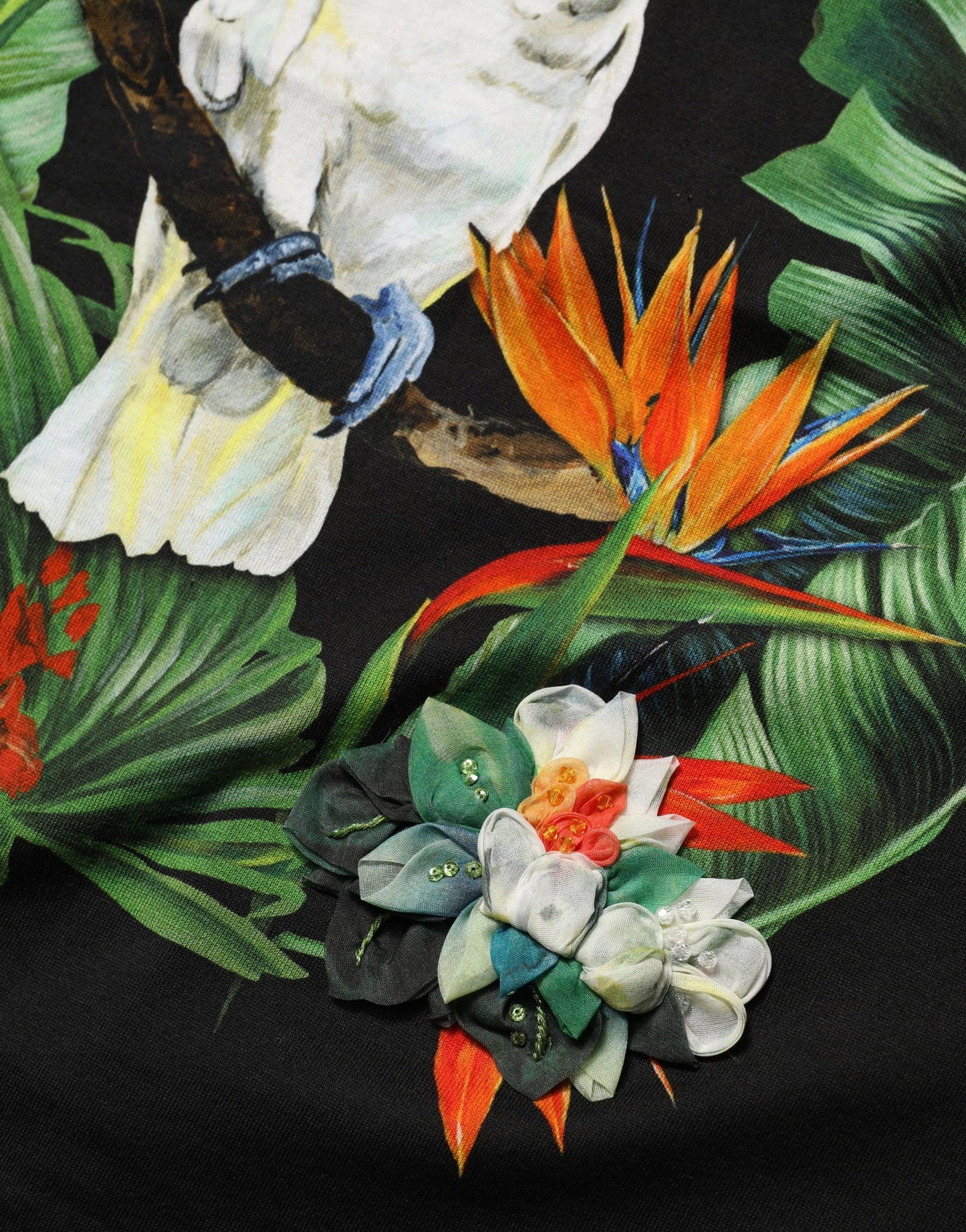 T-shirt Dolce & Gabbana en coton noir à imprimé tropical et col rond