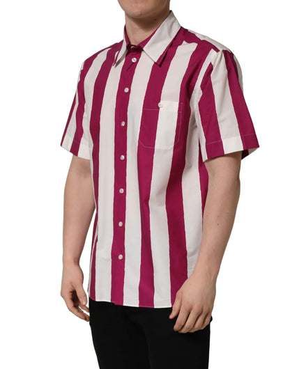 Chemise homme Dolce & Gabbana à manches courtes rayée blanche et marron