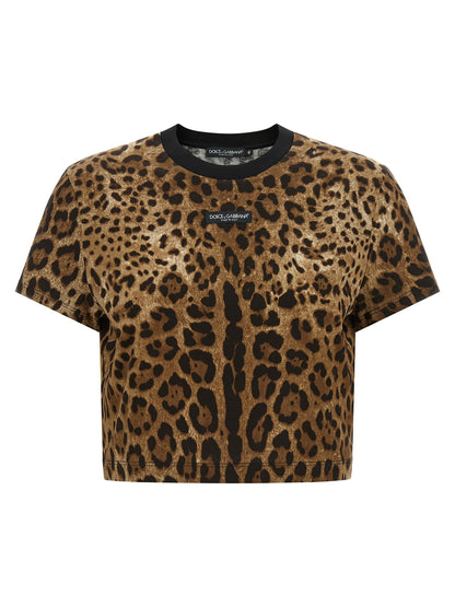 Dolce & Gabbana Brown Cotton T-Shirt