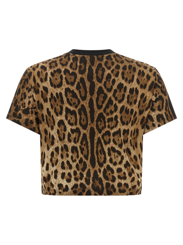 Dolce & Gabbana Brown Cotton T-Shirt