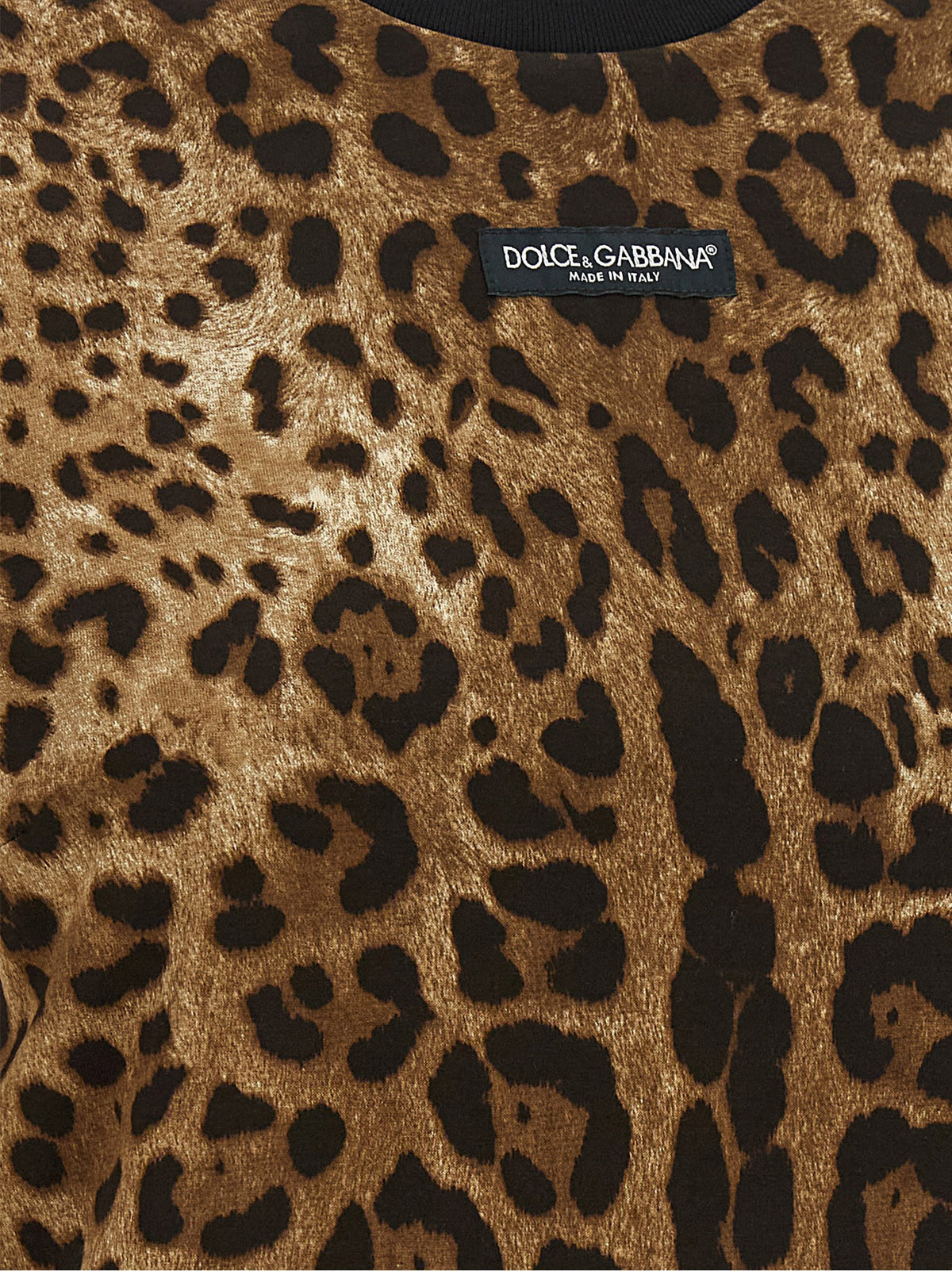 Dolce & Gabbana Brown Cotton T-Shirt