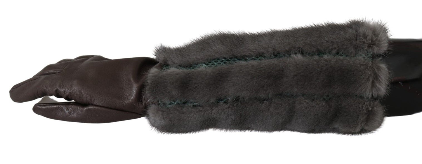 Gants en cuir et fourrure mi-longs marron Dolce & Gabbana