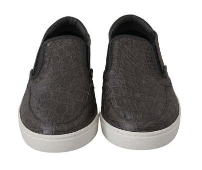 Chaussures Richelieu plates Dolce & Gabbana en cuir gris caïman pour homme