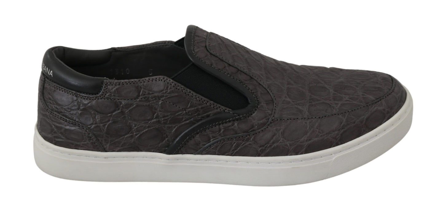 Chaussures Richelieu plates Dolce & Gabbana en cuir gris caïman pour homme