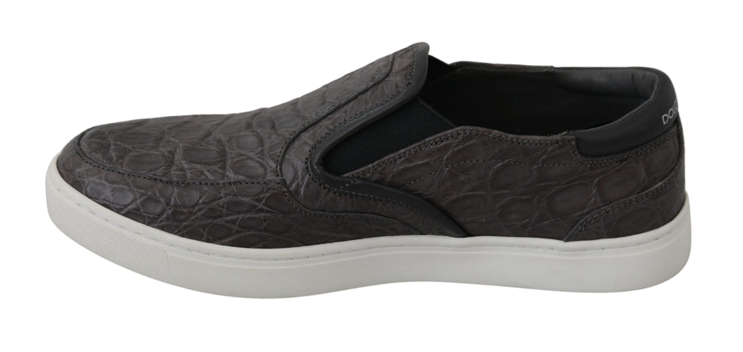 Chaussures Richelieu plates Dolce & Gabbana en cuir gris caïman pour homme