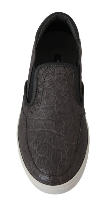 Chaussures Richelieu plates Dolce & Gabbana en cuir gris caïman pour homme