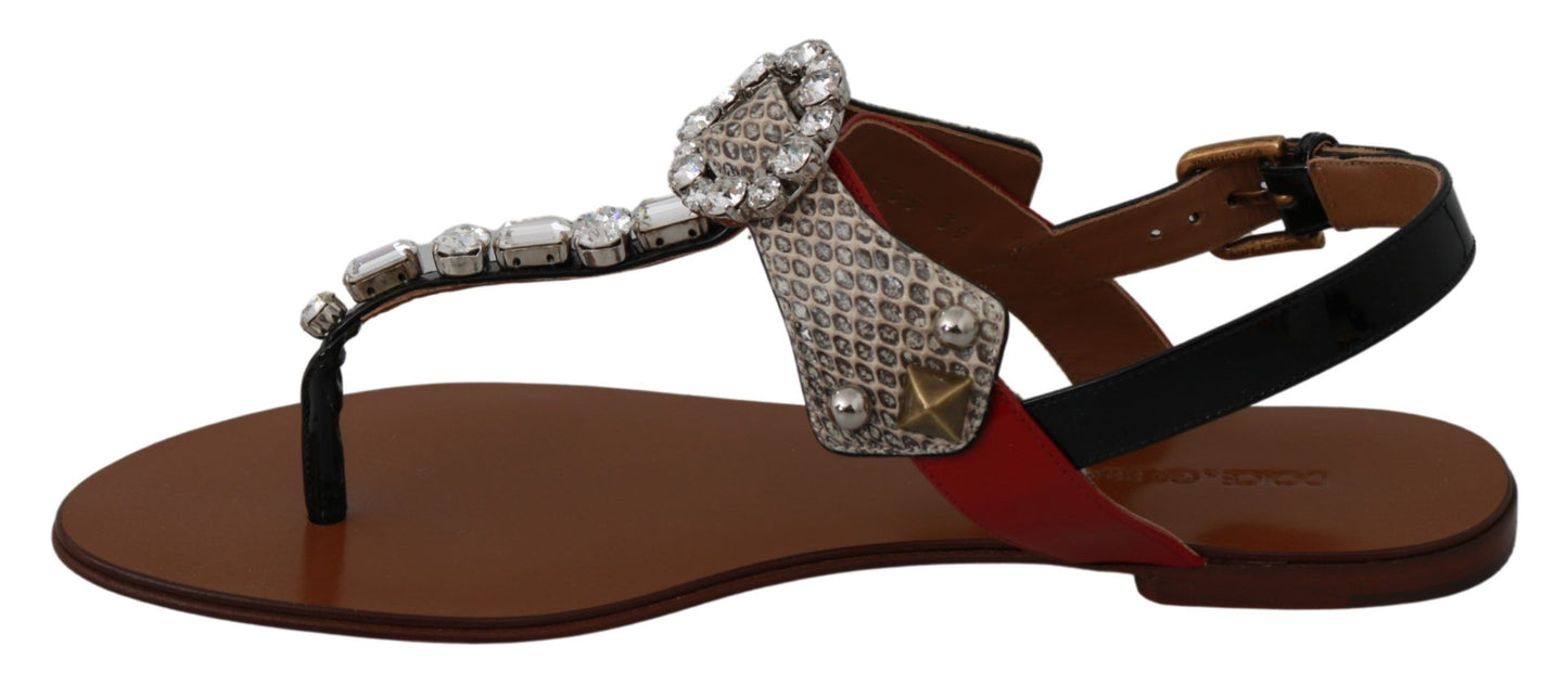 Dolce & Gabbana Sandales Tongs Chaussures en Cuir Ayers et Cristaux