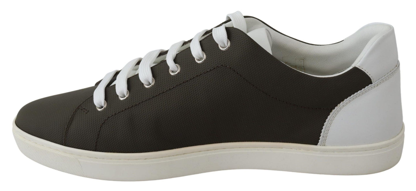 Chaussures sneakers basses en cuir blanc et vert Dolce & Gabbana