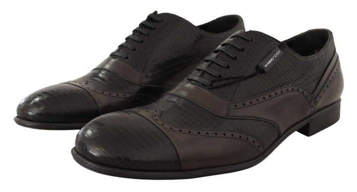 Zapatos de vestir Oxford Dolce & Gabbana de piel de lagarto marrón