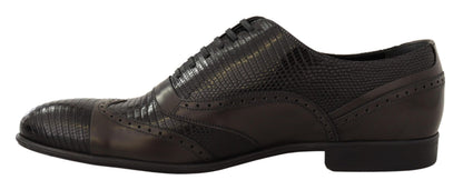 Chaussures Richelieu en cuir de lézard marron Dolce & Gabbana