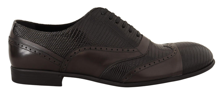 Zapatos de vestir Oxford Dolce & Gabbana de piel de lagarto marrón