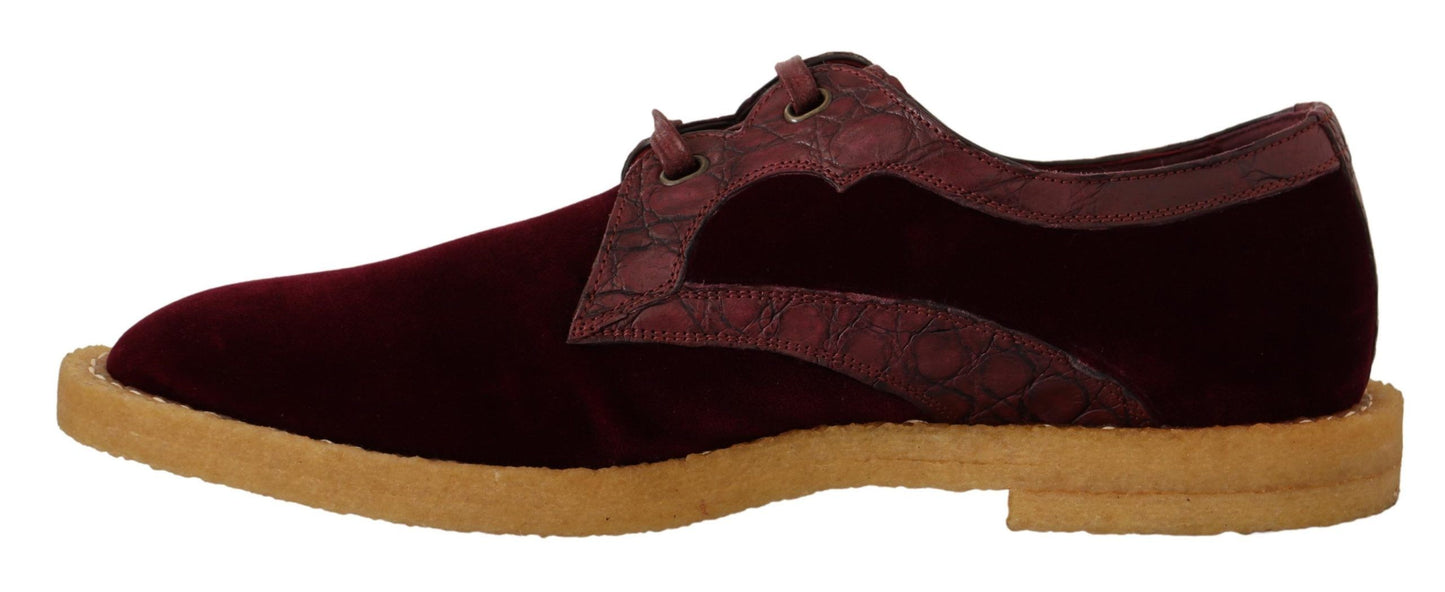 Chaussures en cuir exotique de velours bordeaux Dolce & Gabbana