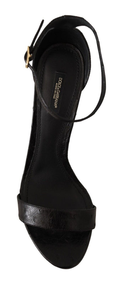 Chaussures Sandales à Talons avec Bride de Cheville Dolce & Gabbana en Autruche Noire