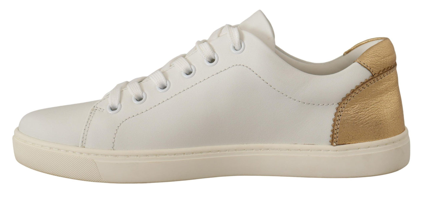 Baskets basses en cuir or blanc Dolce & Gabbana