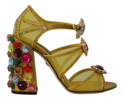 Sandales en cuir jaune et cristal Ayers Dolce & Gabbana