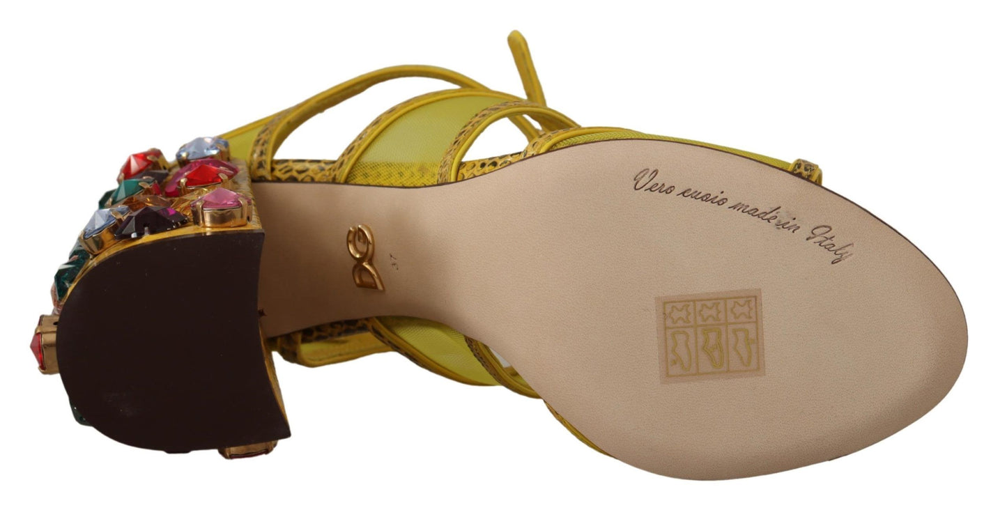 Sandales en cuir jaune et cristal Ayers Dolce & Gabbana