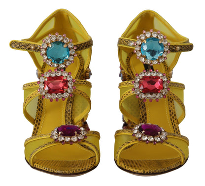Sandales en cuir jaune et cristal Ayers Dolce & Gabbana