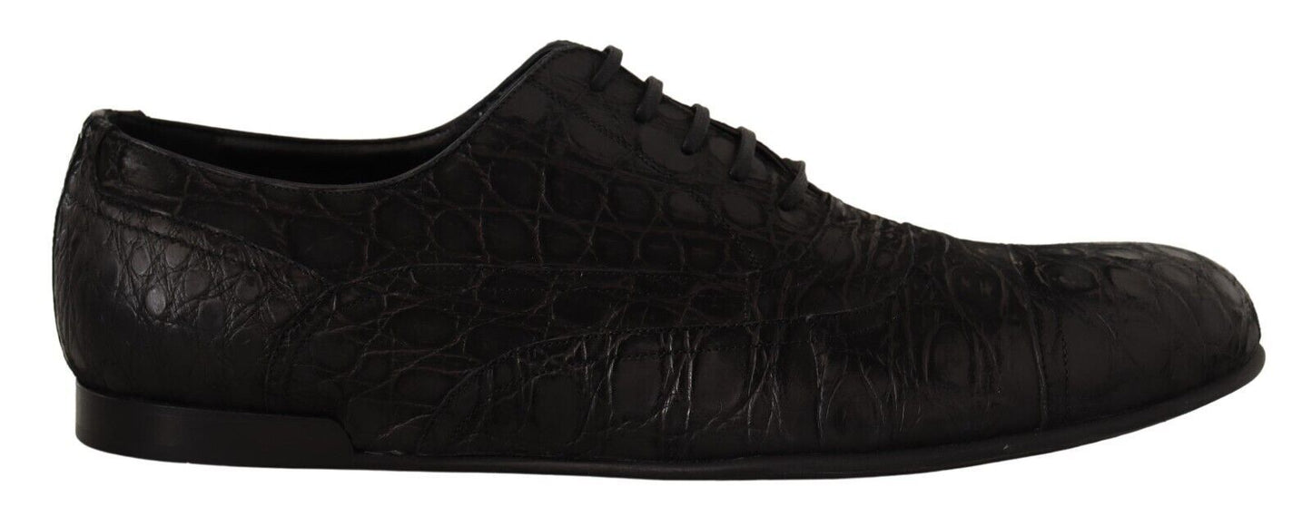 Chaussures Richelieu Dolce & Gabbana en cuir de caïman noir pour homme