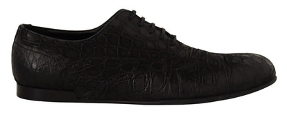 Chaussures Richelieu Dolce & Gabbana en cuir de caïman noir pour homme