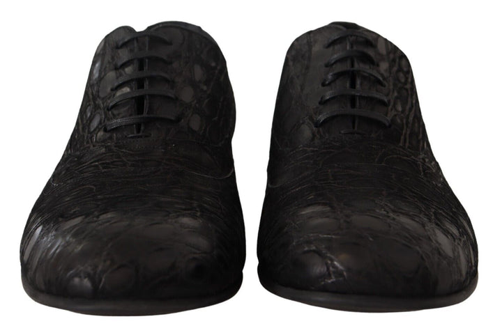 Zapatos Oxford de piel de caimán negros para hombre Dolce & Gabbana