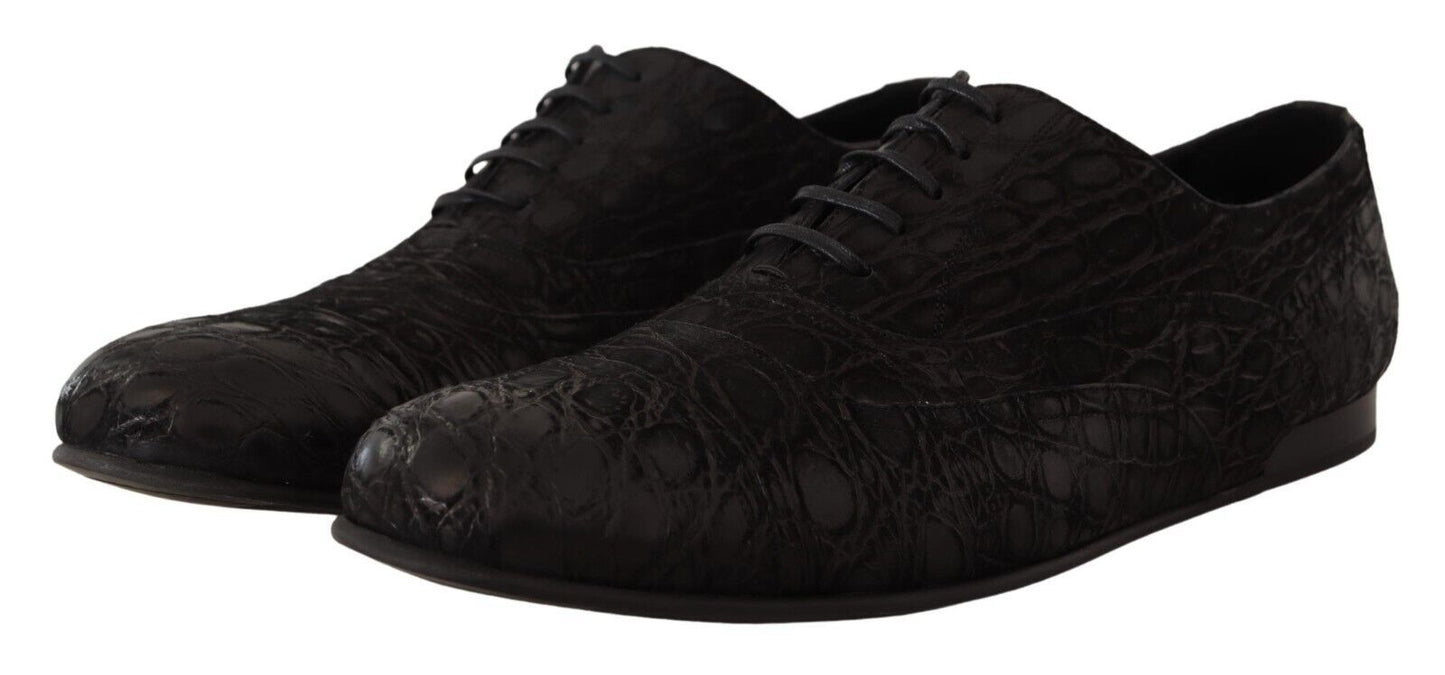 Chaussures Richelieu Dolce & Gabbana en cuir de caïman noir pour homme