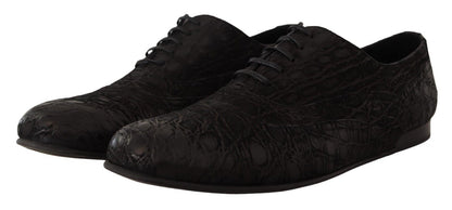 Chaussures Richelieu Dolce & Gabbana en cuir de caïman noir pour homme