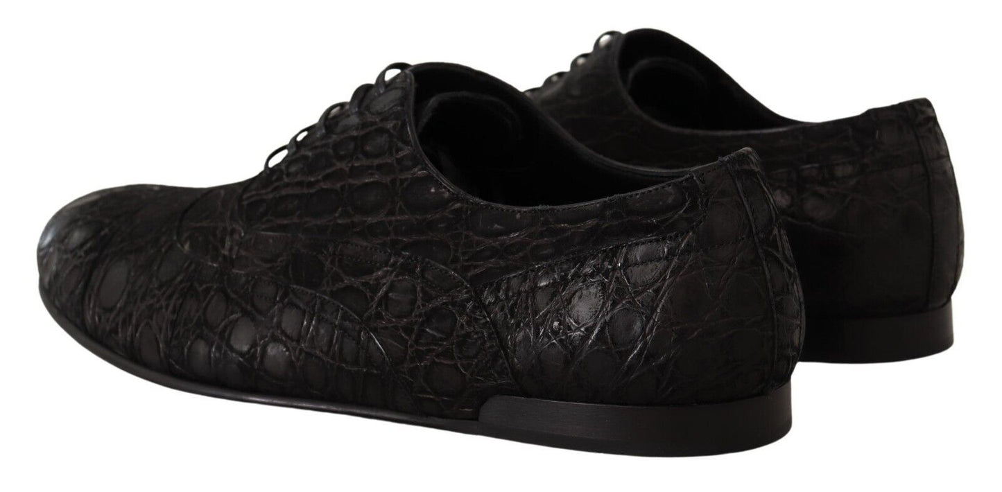 Chaussures Richelieu Dolce & Gabbana en cuir de caïman noir pour homme