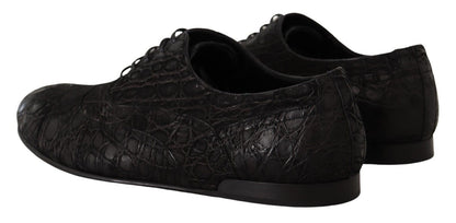 Chaussures Richelieu Dolce & Gabbana en cuir de caïman noir pour homme