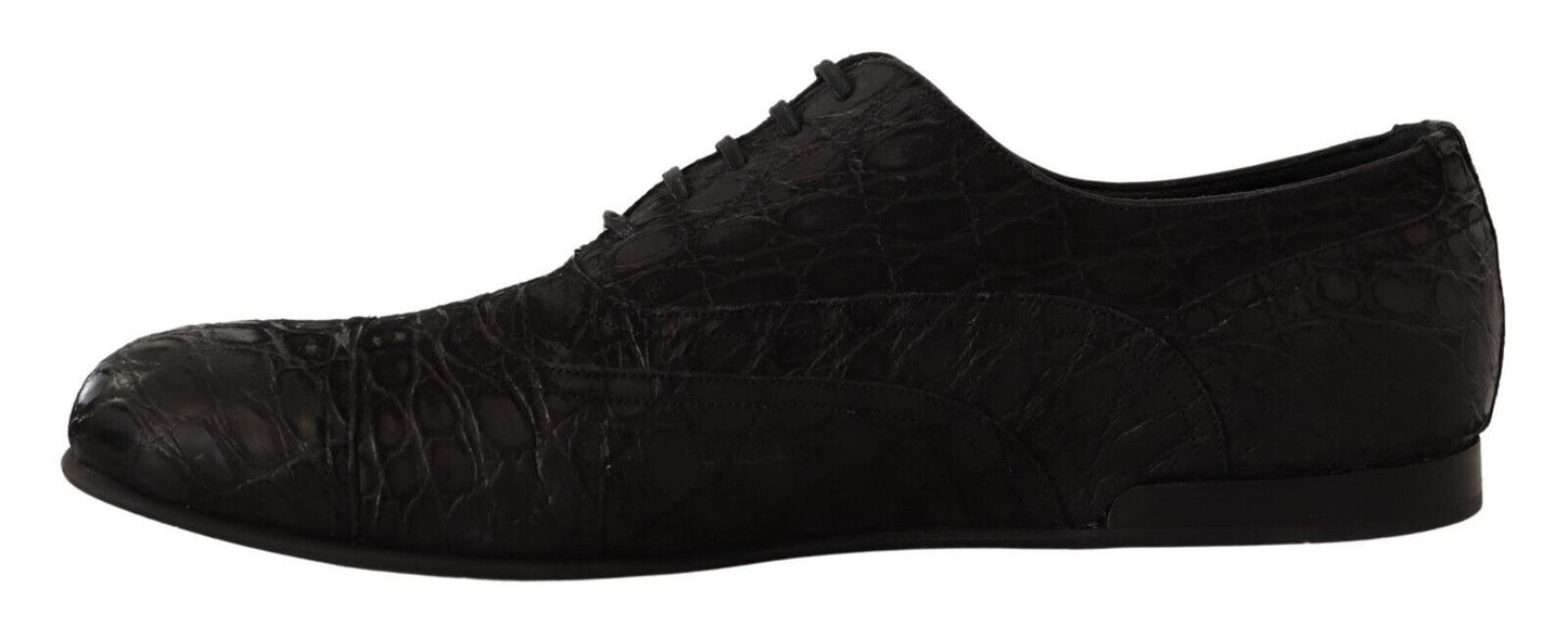 Chaussures Richelieu Dolce & Gabbana en cuir de caïman noir pour homme