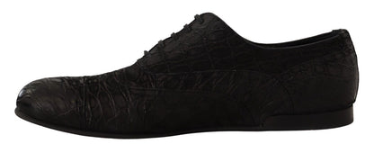 Chaussures Richelieu Dolce & Gabbana en cuir de caïman noir pour homme