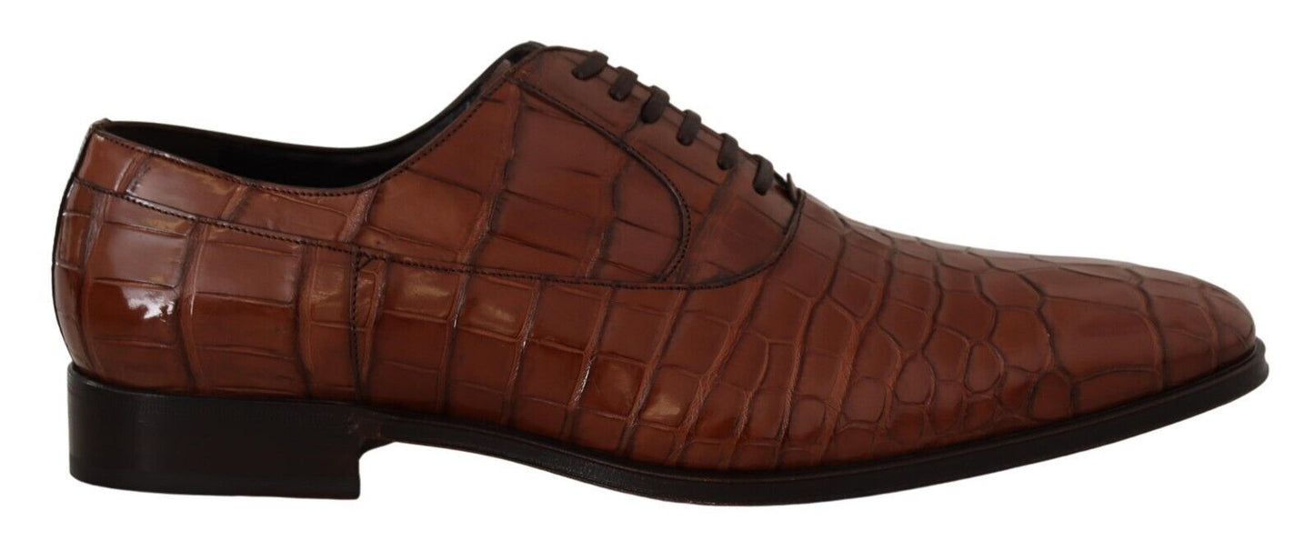 Chaussures Richelieu Homme Formelles en Cuir de Crocodile Marron Dolce & Gabbana
