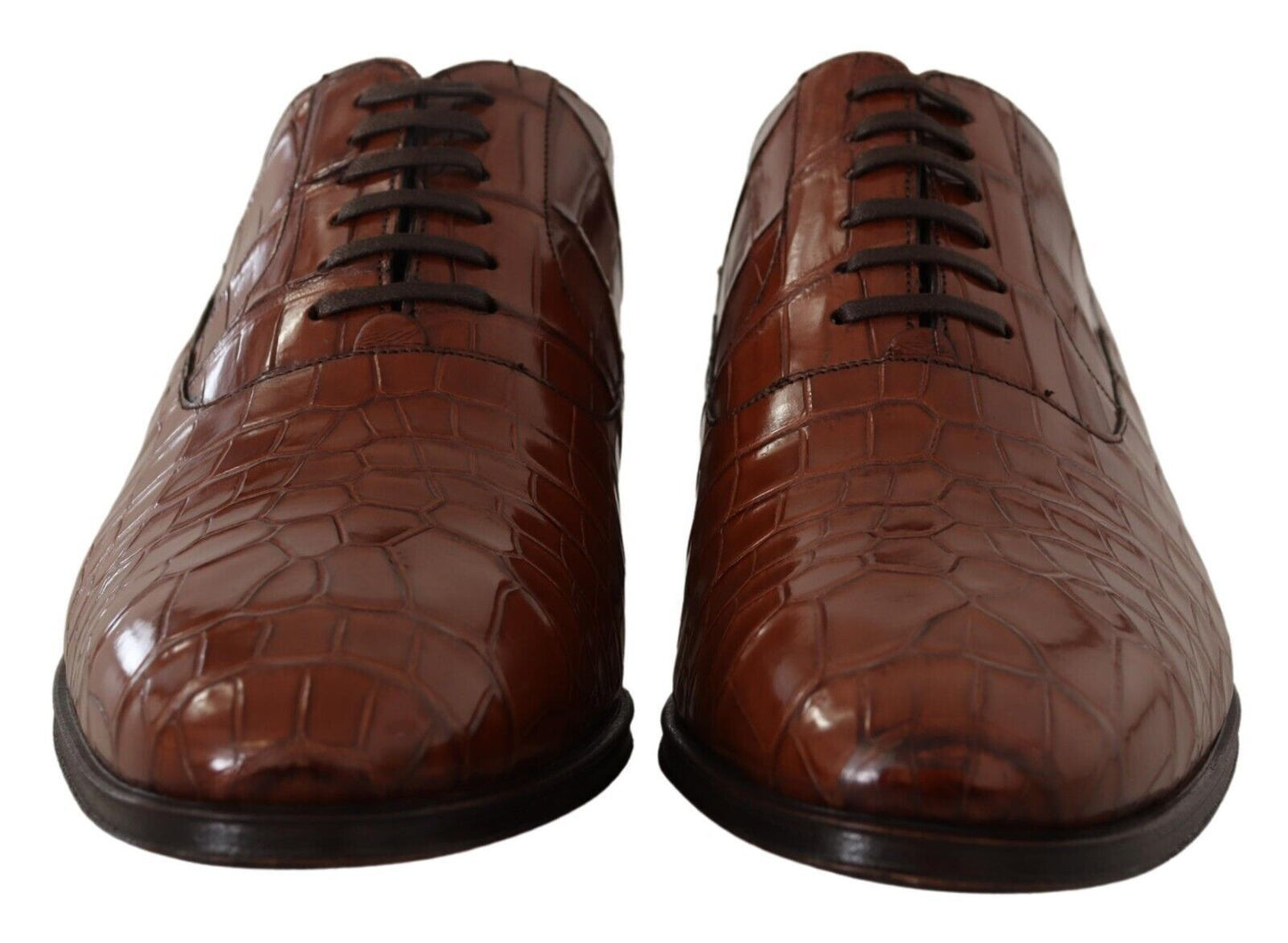 Chaussures Richelieu Homme Formelles en Cuir de Crocodile Marron Dolce & Gabbana