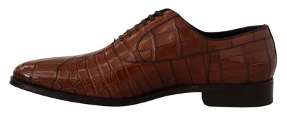 Chaussures Richelieu Homme Formelles en Cuir de Crocodile Marron Dolce & Gabbana