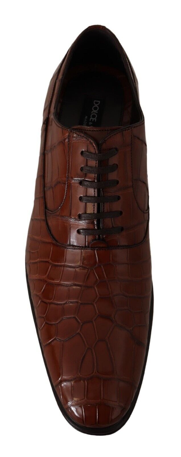 Chaussures Richelieu Homme Formelles en Cuir de Crocodile Marron Dolce & Gabbana