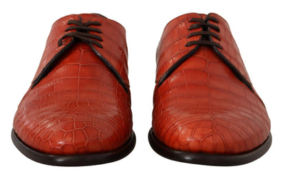 Chaussures Richelieu Dolce & Gabbana en cuir exotique orange