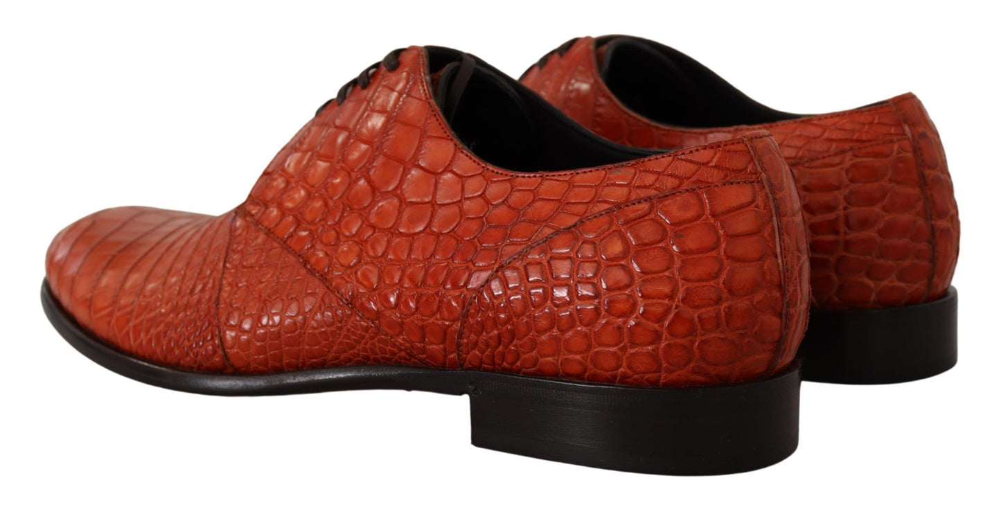 Chaussures Richelieu Dolce & Gabbana en cuir exotique orange
