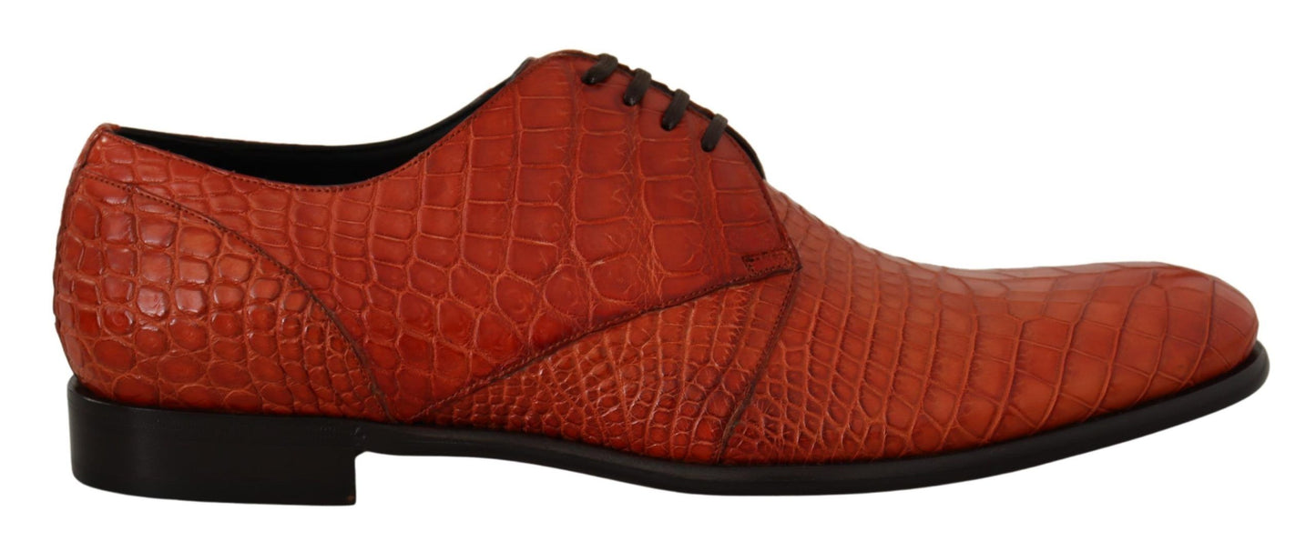 Chaussures Richelieu Dolce & Gabbana en cuir exotique orange