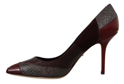 Escarpins Dolce & Gabbana en Cuir Exotique Multicolore