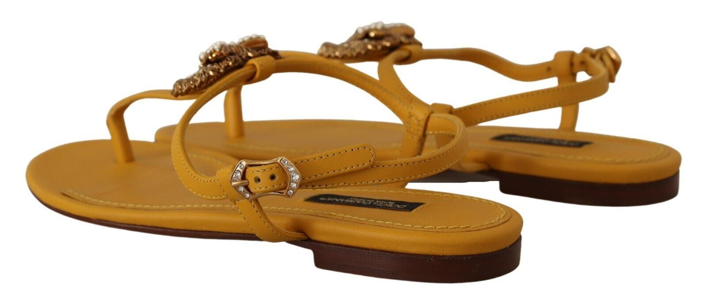 Chaussures plates Dolce & Gabbana Devotion en cuir moutarde