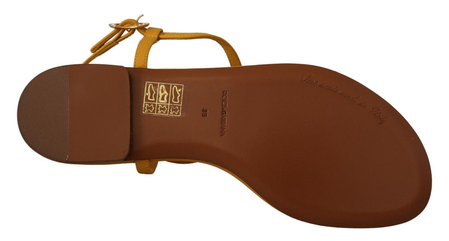 Chaussures plates Dolce & Gabbana Devotion en cuir moutarde