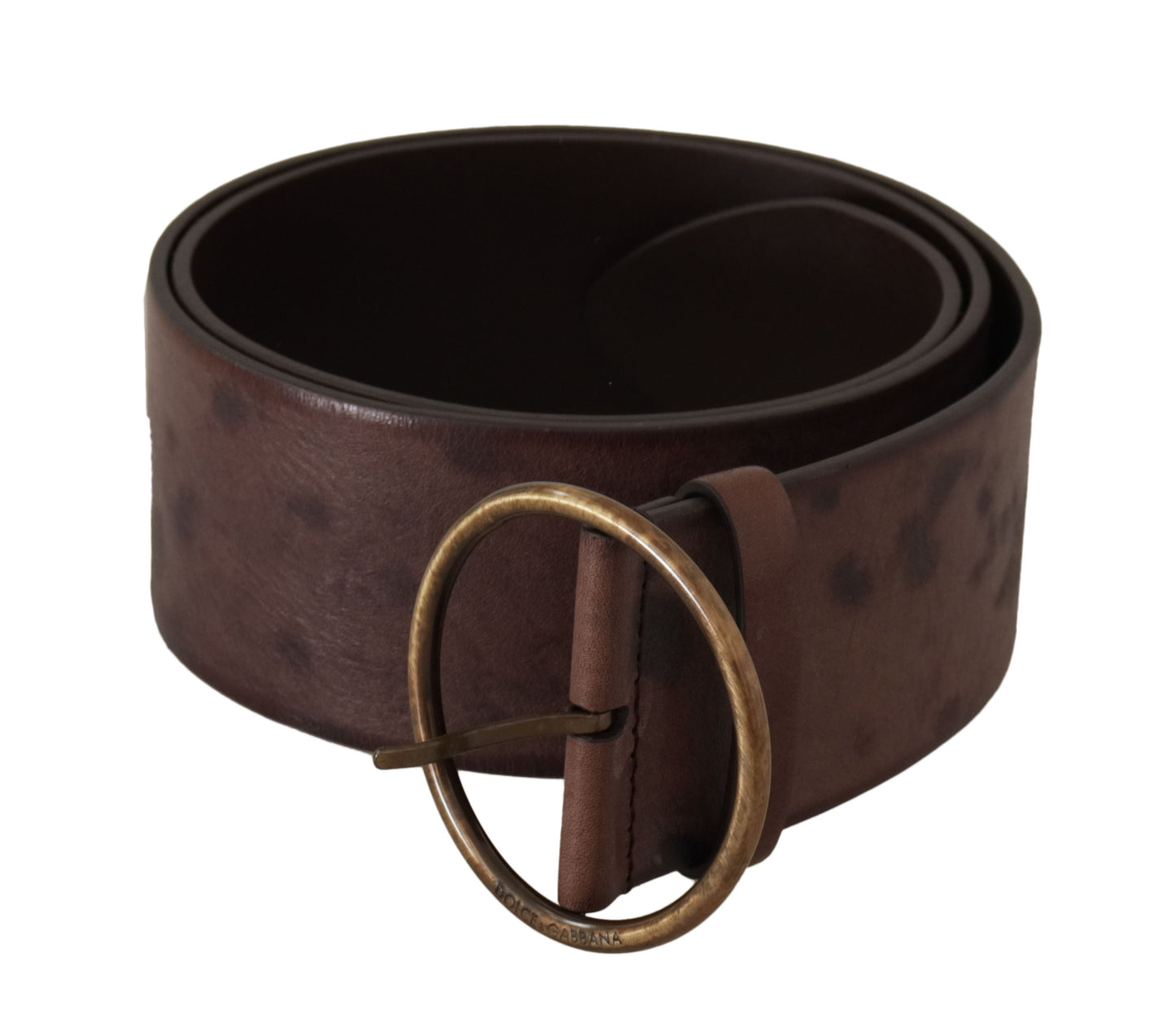 Ceinture Dolce & Gabbana en Cuir Marron Foncé, Large, avec Boucle Ronde Logo