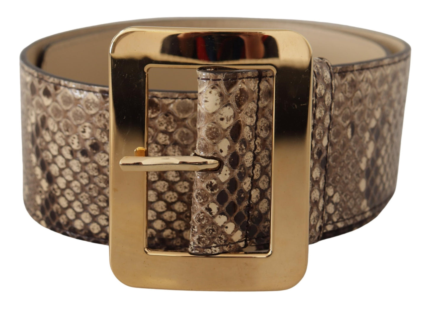 Ceinture large Dolce & Gabbana en cuir exotique marron avec boucle en métal doré