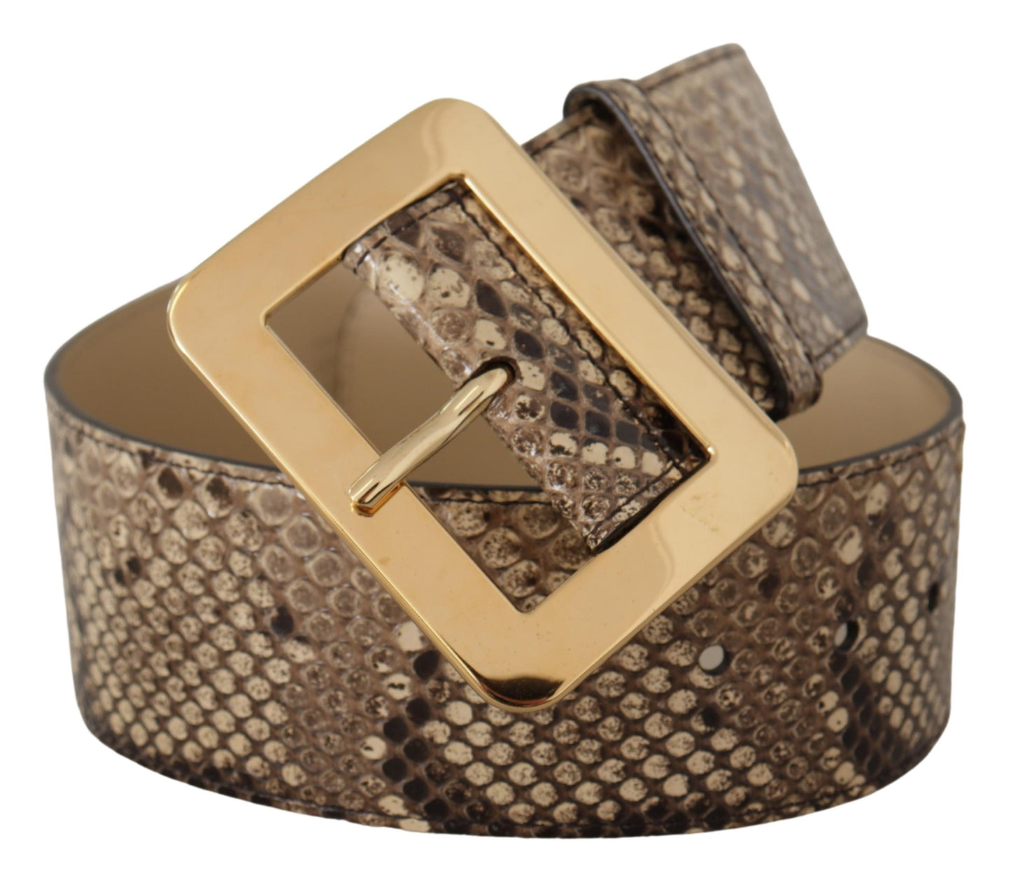 Ceinture large Dolce & Gabbana en cuir exotique marron avec boucle en métal doré