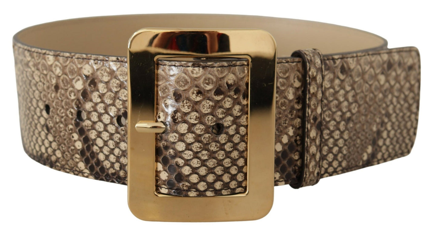 Ceinture large Dolce & Gabbana en cuir exotique marron avec boucle en métal doré
